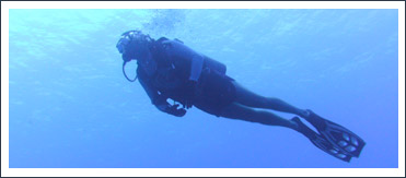 Diver