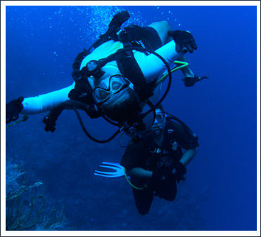 Divers